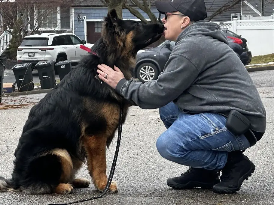 Rikki walking a large shepherd on a leash along a quiet Long Island street